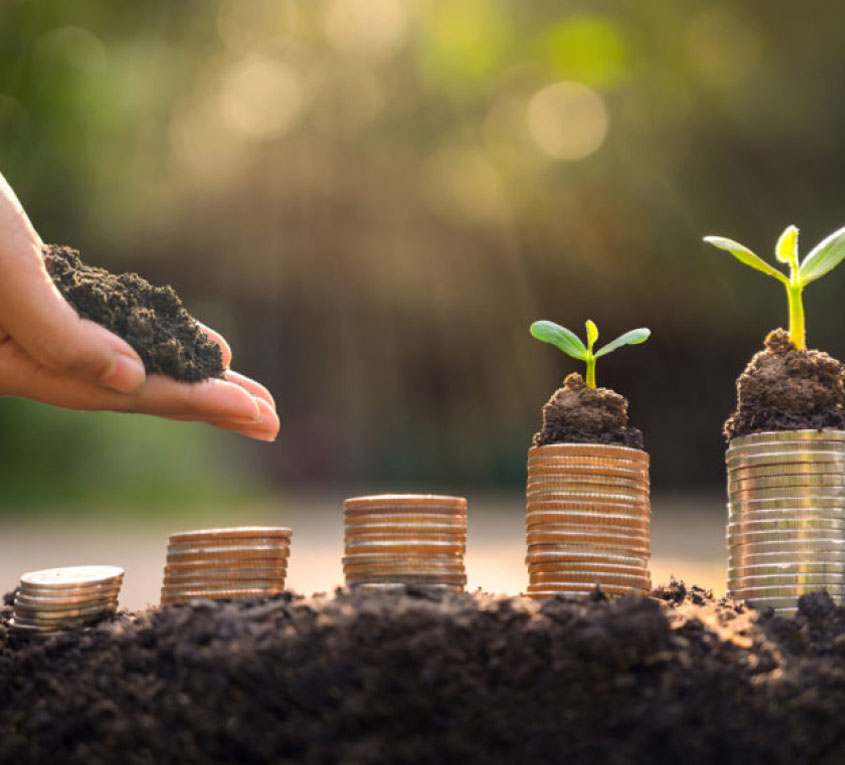 Corporate Social Responsibility